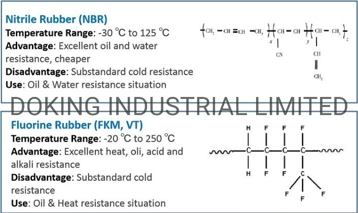 Elring NBR FKM Rubber Oil Seal Skeleton Tc Oil Seal