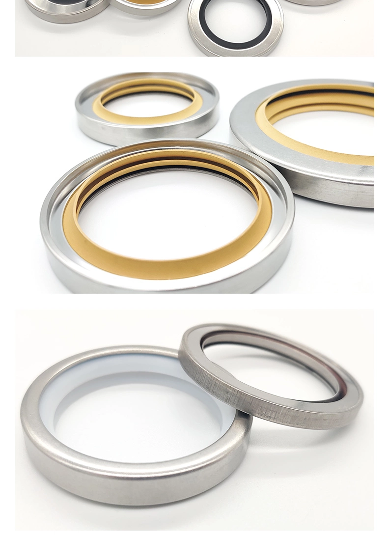 Cylinder Sealing Ring, Dust Ring, Oil Seal, Genuine Pneumatic Steam Seal