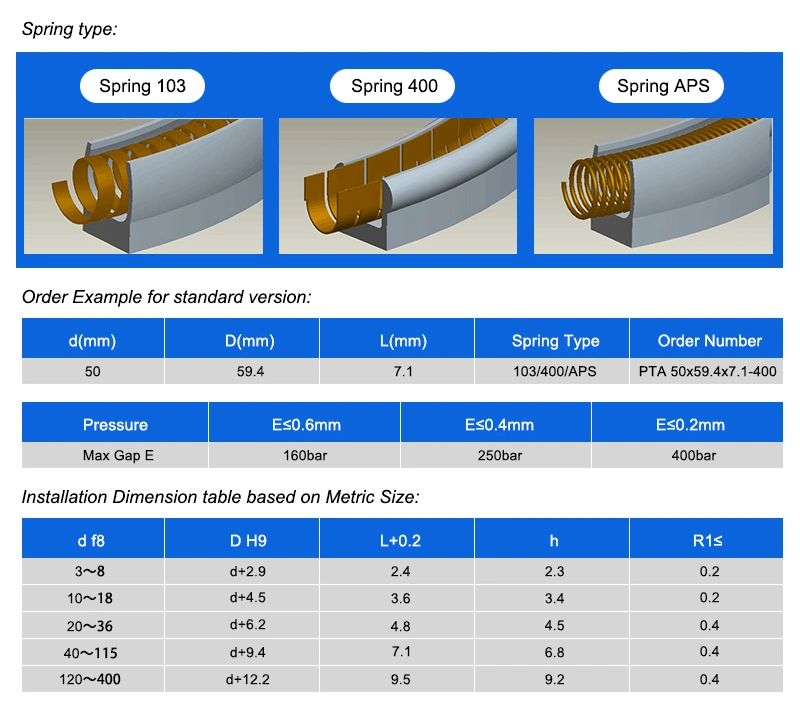 Auto Pump Hydraulic Seal Peek PTFE Spring Energized Seals