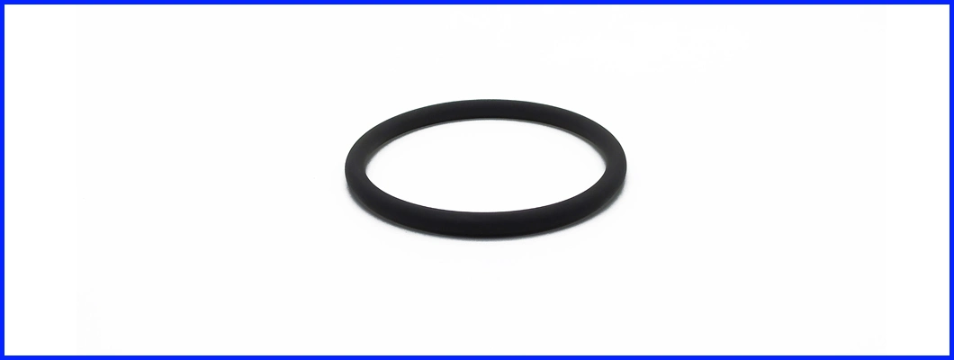 OEM Large Size Rubber FPM O Ring Seal Manufacture